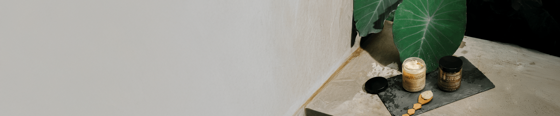 EXFOLIANTES CORPORALES header.png